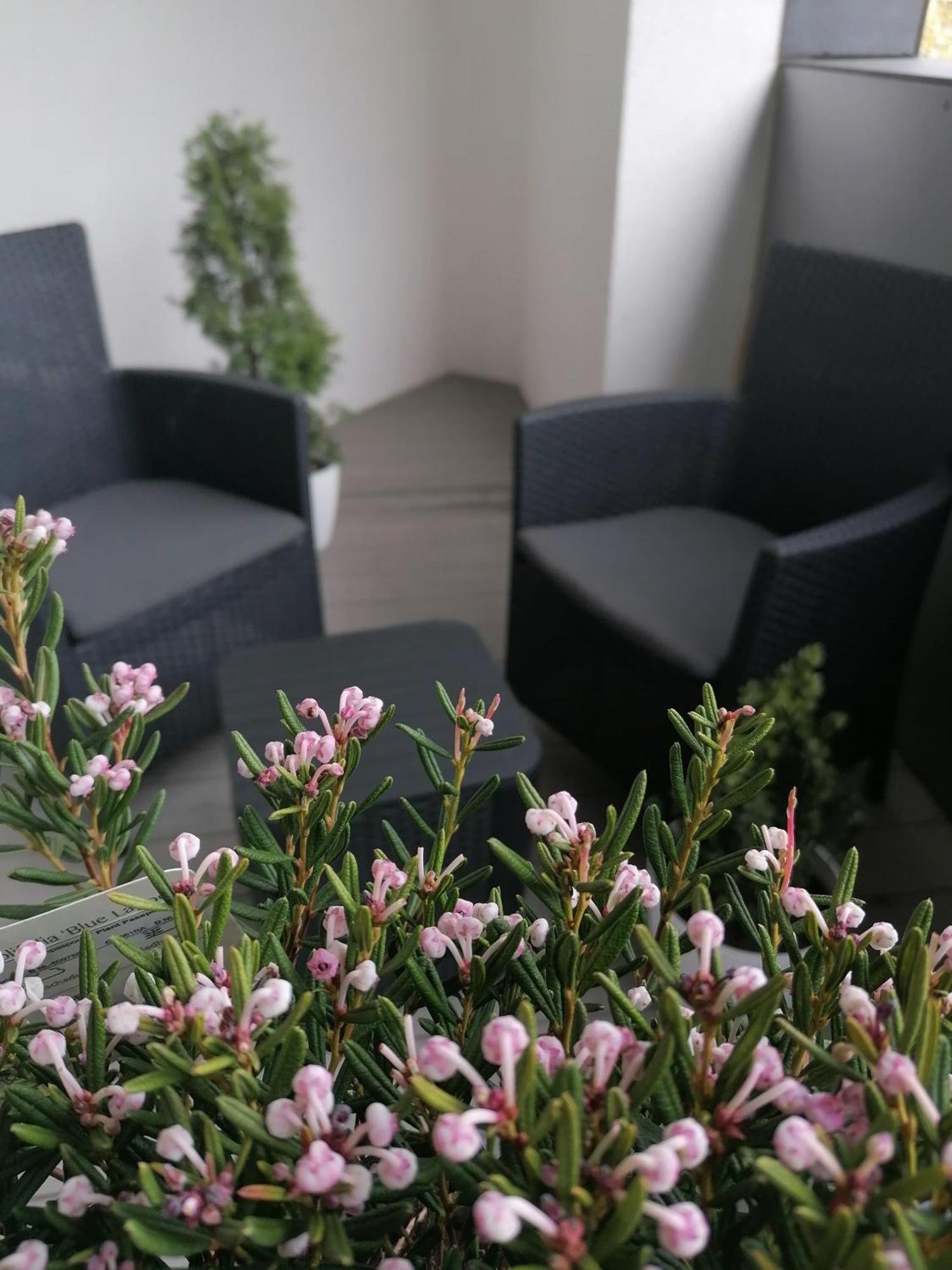 Szczecin Hanza Tower Apartment-Basen Buitenkant foto